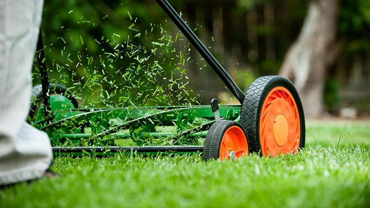 Lawn Moving Transform your lawn into a beautifully manicured space with our professional mowing services and techniques. Enjoy a neat, inviting outdoor area all year round!