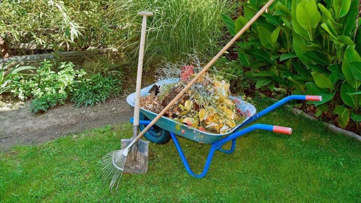 Garden Clearance Clear out debris and make way for a thriving garden with our efficient clearance services. We help you reclaim your outdoor space for relaxation and enjoyment!