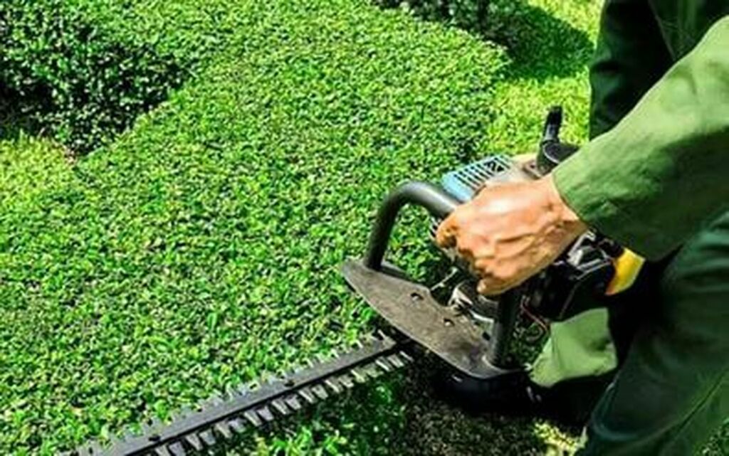 Garden Maintenance Keep your garden healthy and beautiful with our comprehensive maintenance services. Our team is dedicated to nurturing your green space all year round!